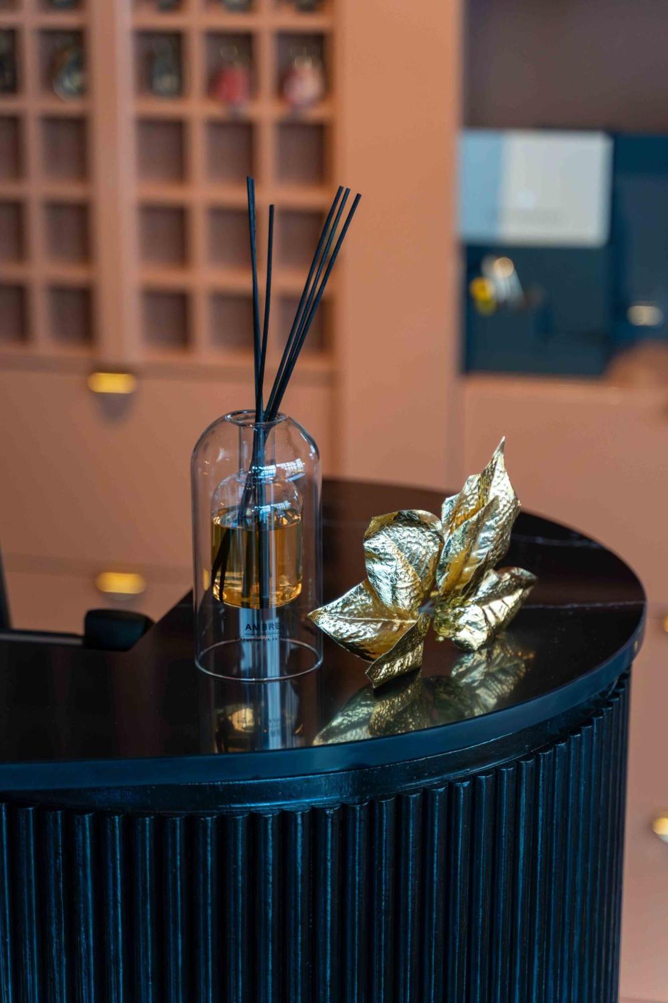 Hotel Et Restaurant Le Regina Le Puy-en-Velay Zewnętrze zdjęcie